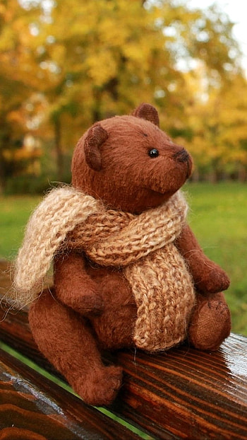 Teddy Bear Wale, Cute, Teddy, Nature Background HD phone wallpaper