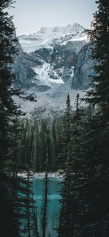 Background 3 (18) Walls Wd, 1440x3120 HD phone wallpaper