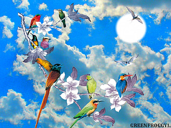 BIRDS ON A BRANCH, BIRDS, BRANCH, PRETTY, COLOURED HD wallpaper