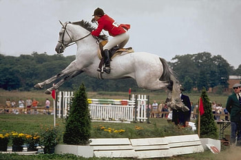 Horse Jumping, red jacket, horses, white, animals, rider, jumping HD wallpaper