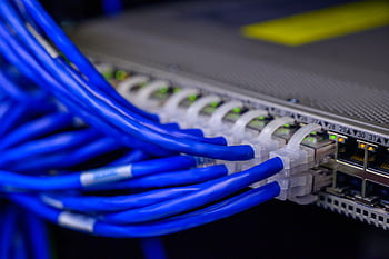 Detailed view of blue ethernet cables connected to a network switch in a data center. HD wallpaper