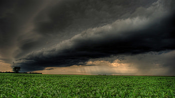 Clouds storm rain field . HD wallpaper