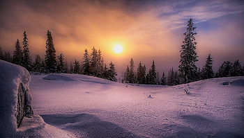 pale winter sun, winter, sky, sun, snow HD wallpaper
