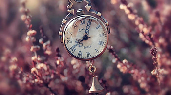 A matter of time, background, old, time, hanging, clock, flowers HD wallpaper