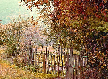 Autumn shades, autumn, colors, shades, village HD wallpaper