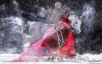Beyond the Second, digital, horse, art, skeleton, girl HD wallpaper