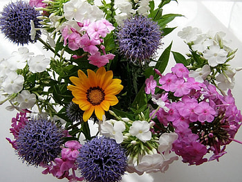 Flowers, Beauty, Bouquet, Composition HD wallpaper