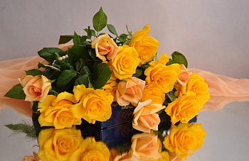 Flowers, Roses, Candies, Bouquet, Cloth HD wallpaper