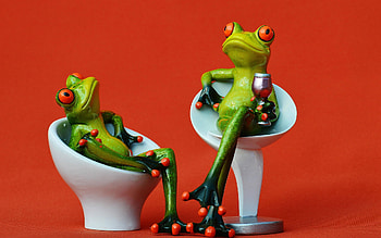 Chatting, chair, cute, figurine, frog, relax, creative, green, red, couple, funny, drink HD wallpaper