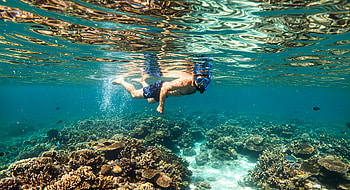 Snorkeling Adventure: Crystal Clear Ultra, snorkeling, underwater, coral reef, ocean, swimming HD wallpaper