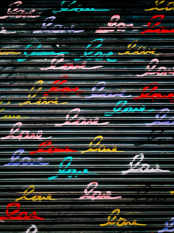 Words, Multicolored, Motley, Wall, Text, Lettering, Inscriptions HD phone wallpaper