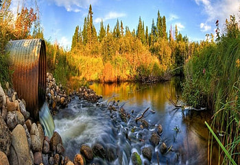 Along the Roadside, streams, river, sky, nature HD wallpaper