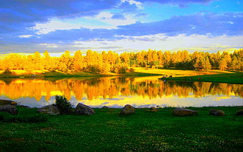 RESERVATION LAKE,ARIZONA, trees, Arizona, reflection, lake HD wallpaper