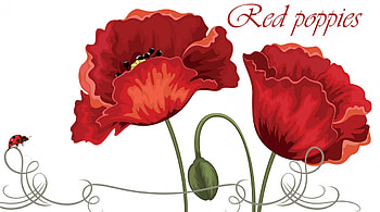 Red Poppies, wild flowers, ladybug, buds, spring, lady bug, summer, poppies, script, poppy, red, flowers HD wallpaper