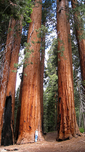 Protected wilderness, Immense beauty, Scenic landscapes, Natural sanctuary HD phone wallpaper