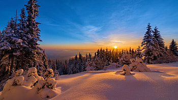 Winter morning, snow, sunrise, landscape, trees, sky, sun HD wallpaper