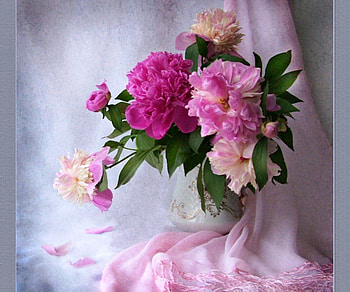 Peonies, dark pink, color, graphy, art, soft, flower vase, spring, beauty, still life, abstract, petals, grapher, artist, light pink HD wallpaper