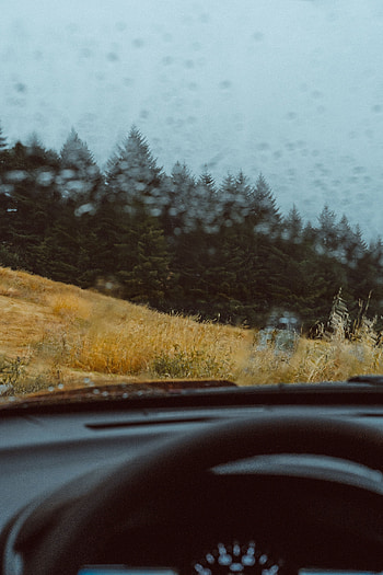 Rain, Miscellanea, Miscellaneous, Forest, Car, Machine, Glass, View HD phone wallpaper
