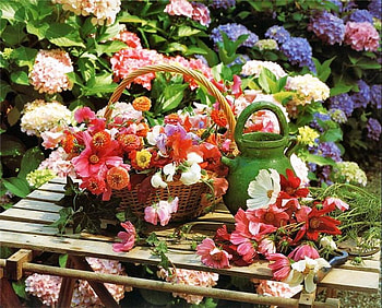 Colorful flowers in the garden, colorful, table, various, relaxation, garden, beauty, basket, outdoors, freshness, nature, flowers, joy HD wallpaper