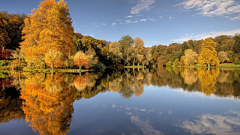Lake Reflection, trees, reflection, water, lake HD wallpaper