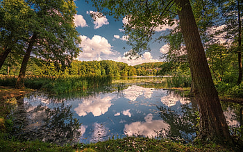 Lake, clouds, trees, calm HD wallpaper