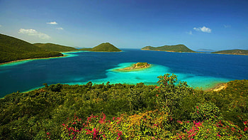 Peaceful day at Waterlemon Caye, St John, hills, water, island, trees, landscape, forest HD wallpaper