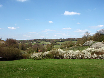 Mayflower in the Chess Valley., sunshine, may, peace, flowers, spring HD wallpaper
