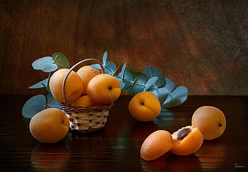 Appricots, delicious, fruits, nature, appricot HD wallpaper