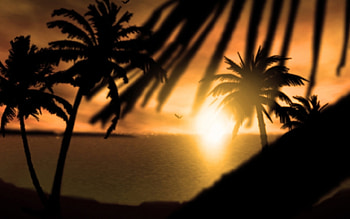 Landscape, Sun, Palms HD wallpaper