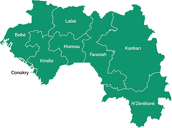 Guinea, Civil registration, Guinea center of excellence, Vital statistics systems HD wallpaper