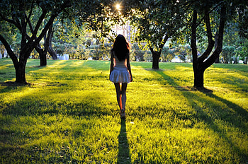 Lovely Morning, trees, nature, sunlight, woman HD wallpaper