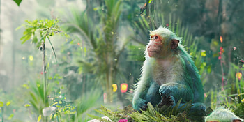 Monkey, alexpi, art, fantasy, green, maimuta, jungle, alex pi HD wallpaper