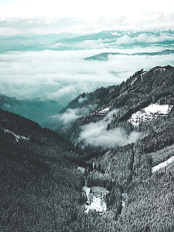 Nature, Trees, Mountains, View From Above, Fog, Snow Covered, Snowbound HD phone wallpaper