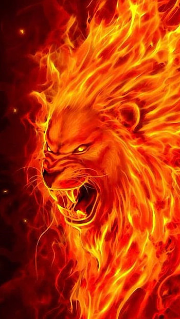 Fire Lion, Fire Theme, Lion Art HD phone wallpaper