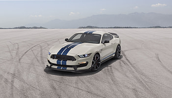 Muscle car, 2019 Ford Mustang Shelby GT350 HD wallpaper