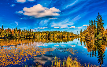 autumn, beautiful lake, blue sky, clouds, forest, reflection, R, beautiful nature HD wallpaper