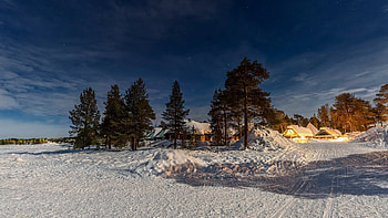 Winter Village, lights, snow, night, pine, trees, houses HD wallpaper
