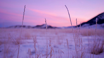 Dry Grass Frost Land Rocks Snow Purple Blue Sky Background Nature HD wallpaper