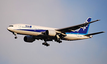 All Nippon Airways, Leia Starker, Eingreifen, Government cooperation HD wallpaper