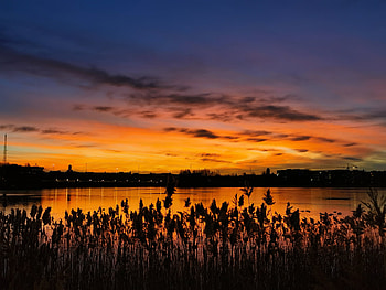 Sunset, Twilight, Lake, Dark, Dusk, Ears, Spikes HD wallpaper