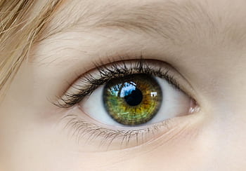 Detailed close-up of a child's green eye, highlighting the iris and natural eyelashes. HD wallpaper