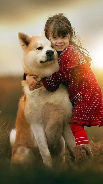 Friendship Whatsapp, Doggy Hug HD phone wallpaper