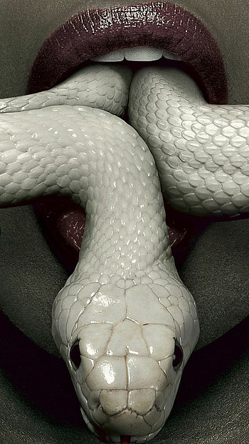 Snake , Sleek and slithering, background, Focus on snake's eyes HD phone wallpaper