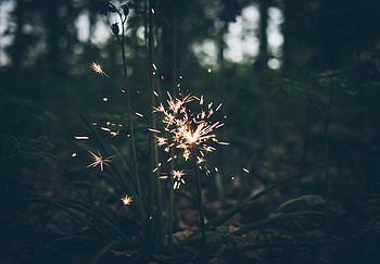 Sparks, Miscellanea, Miscellaneous, Blur, Smooth, Sparkler HD wallpaper
