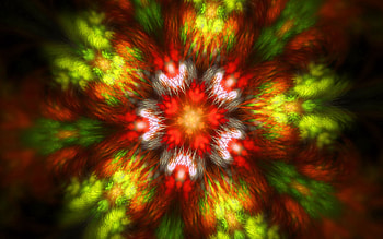 Abstract, Patterns, Flower, Form, Colorful, Colourful HD wallpaper