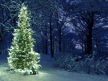 Winter Holidays, ninsoare, lina, zapada, iarna HD wallpaper