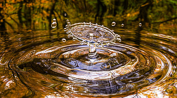 Water, Drops, Macro, Circles, Spray, Splash HD wallpaper