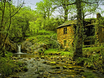 Peaceful place in forest, place, peaceful, trees, greenery, water, path, house, fall, beautiful, stones, cabin, summer, falling, green, waterfall, nature, cottage, forest, stream HD wallpaper