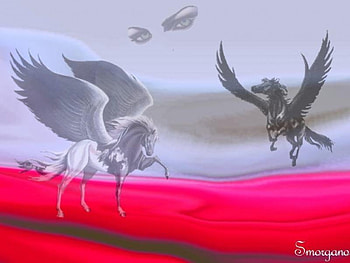Pegasus - Eyes in the Sky, wings, horses, winged, eyes, sky, pegasus, female HD wallpaper