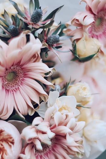 Delicate pastel floral bouquet, perfect for romantic occasions and weddings. HD phone wallpaper